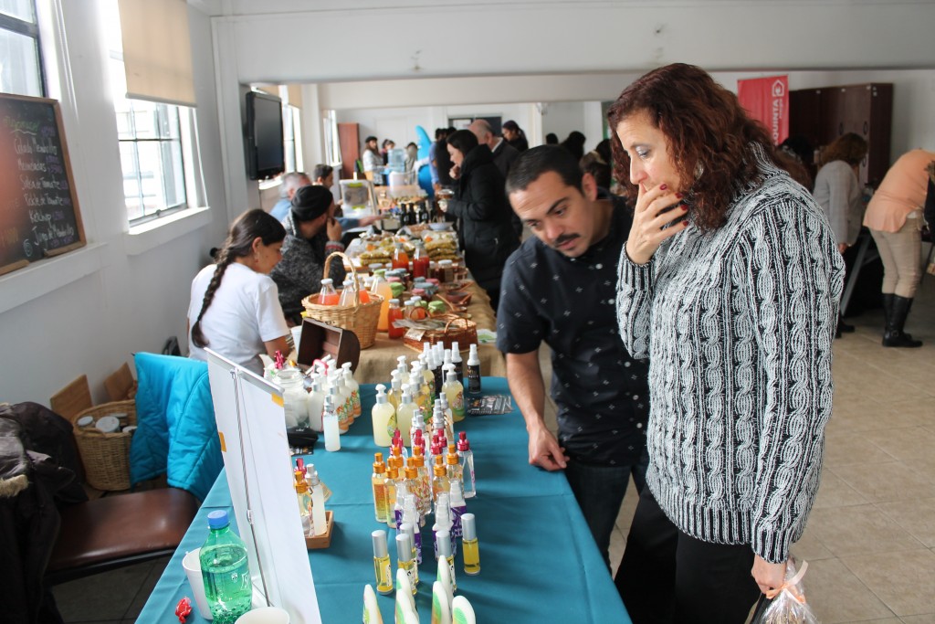 7° Feria Saludable del Consejo Nacional de la Cultura y las Artes